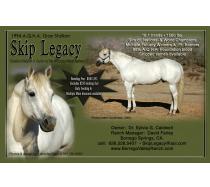 Skip Legacy
