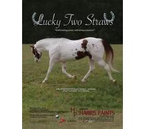 Lucky Two Straws Lucky Two Straws