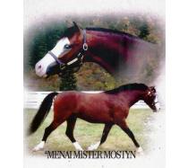 Menai Mister Mostyn Menai Mister Mostyn