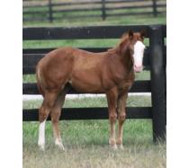 Moonlite Chex