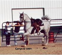 GH Eura Showgirl