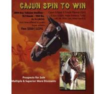 Cajun Spin To Win Cajun Spin To Win