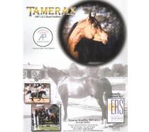 Tamerax Tamerax