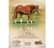 Zippo Finale