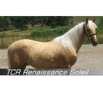 TCR Renaissance Soleil TCR Renaissance Soleil