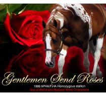 Gentlemen Send Roses Gentlemen Send Roses