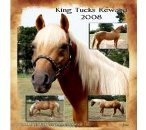 King Tucks Reward King Tucks Reward