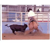 Tuck N Dun
