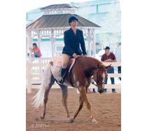 JR's Royal Hunter